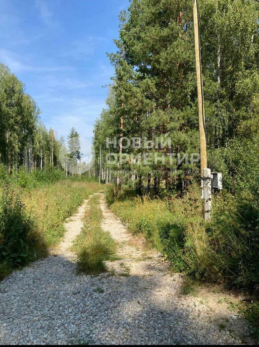 с. Мариинск, ул. юго-западная часть, участок, 426 (городской округ Ревда) - фото земельного участка (8)