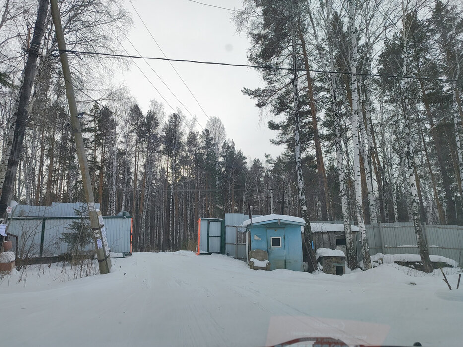 п. Зеленый бор, к/с Виктория, уч. 278 (городской округ Верхняя Пышма) - фото сада (8)