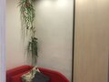 Продажа бизнеса: Екатеринбург, ул. Рощинская, 72а (Уктус) - Фото 4