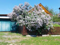 Продажа дома: г. Первоуральск, ул. Братьев Пономарёвых, 49 (городской округ Первоуральск) - Фото 4