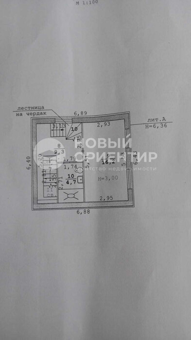 Екатеринбург, СНТ Ариана-1 - фото сада (3)