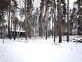 Продажа земельного участка: к.п. Заповедник, ул. Барс, 44 (городской округ Сысертский, п. Габиевский) - Фото 1