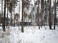 Продажа земельного участка: к.п. Заповедник, ул. Барс, 44 (городской округ Сысертский, п. Габиевский) - Фото 5