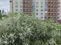 Продажа квартиры: Екатеринбург, ул. Таватуйская, 1б (Новая Сортировка) - Фото 4