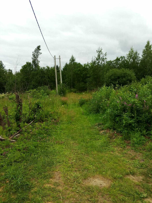 г. Кировград, СНТ Марина. (городской округ Кировградский) - фото сада (1)