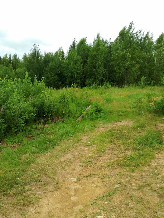 г. Кировград, СНТ Марина. (городской округ Кировградский) - фото сада (2)
