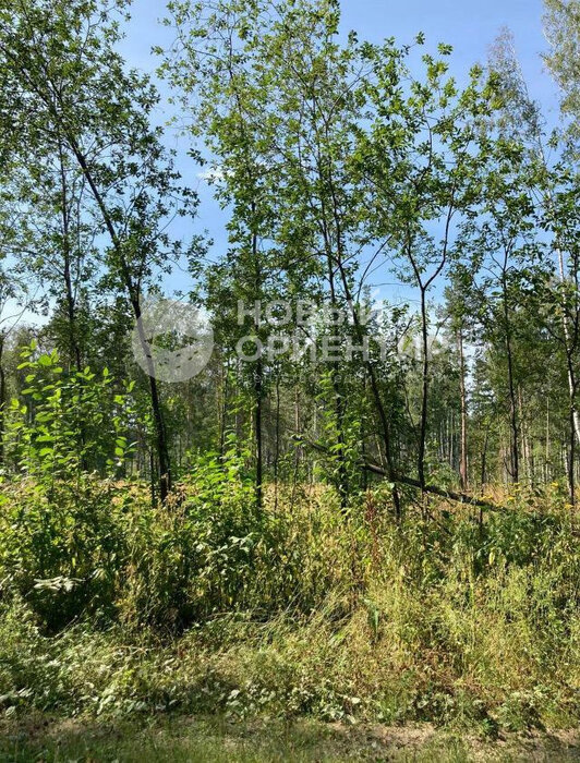 с. Кунгурка, ул. урочища Дегтяные, сектор Б, 52 (городской округ Ревда) - фото земельного участка (7)