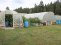 Продажа дома: c. Бутка, ул. Лесная, 5 (городской округ Талицкий) - Фото 8