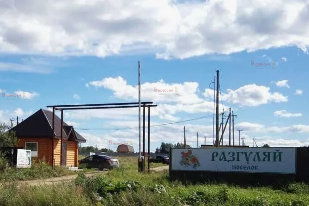 с. Никольское (г.о. Сысертский), ул. ДП Разгуляй, 90 (городской округ Сысертский) - фото земельного участка (2)