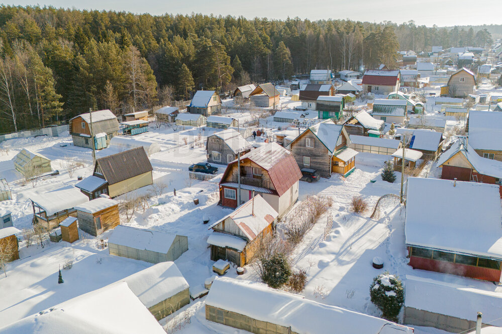 г. Среднеуральск, СНТ Сталь (городской округ Среднеуральск) - фото сада (5)