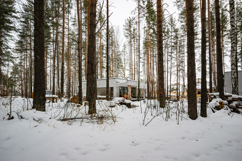 Екатеринбург, ул. Уткинская, 38 - фото коттеджа (3)