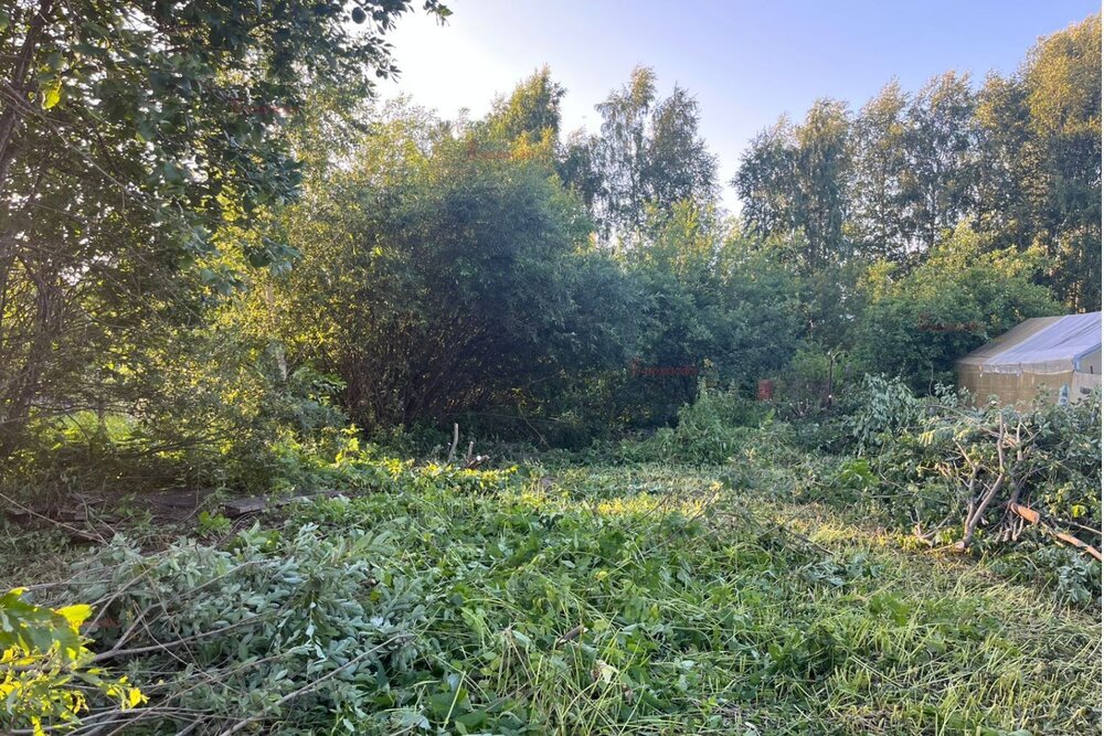 Екатеринбург, СНТ Трансформаторщик, уч. 131 (Карасьеозерск) - фото сада (7)