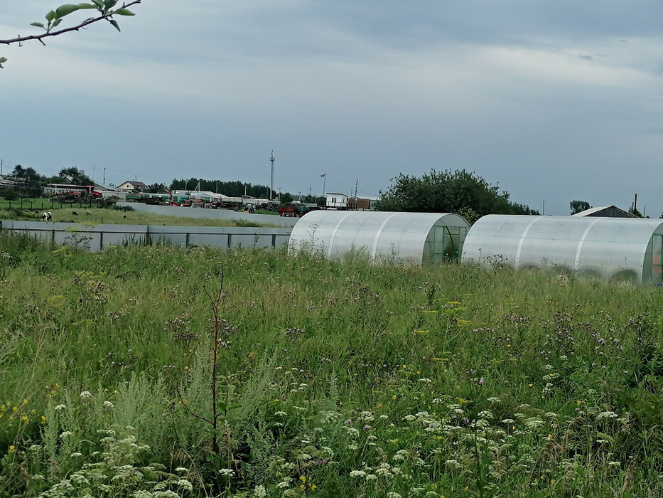 д. Златогорова, ул. Пионерская, 12 (городской округ Белоярский) - фото дома (8)
