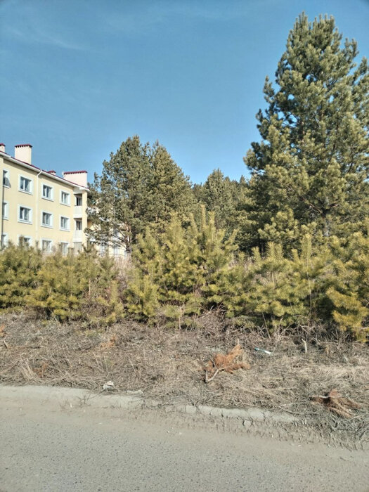 поселок городского типа Белоярский, ул. Сибирская, 7 (городской округ Белоярский) - фото квартиры (1)