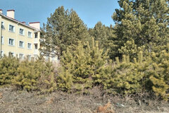 поселок городского типа Белоярский, ул. Сибирская, 7 (городской округ Белоярский) - фото квартиры