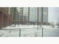 Продажа офиса: Екатеринбург, ул. Академика Парина, 13/3 (Академический) - Фото 5
