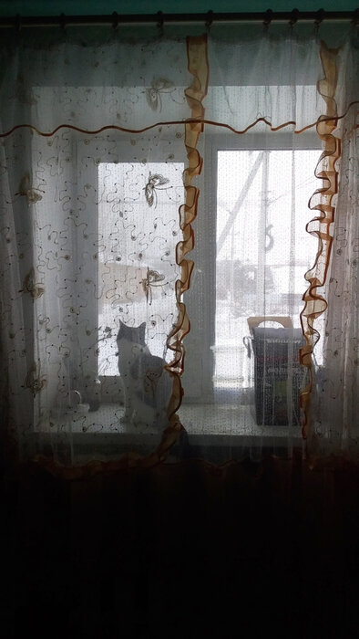 г. Артемовский, ул. Полярников, 33 (городской округ Артемовский) - фото квартиры (4)