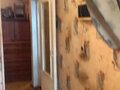 Продажа квартиры: г. Артемовский, ул. Полярников, 31 (городской округ Артемовский) - Фото 6