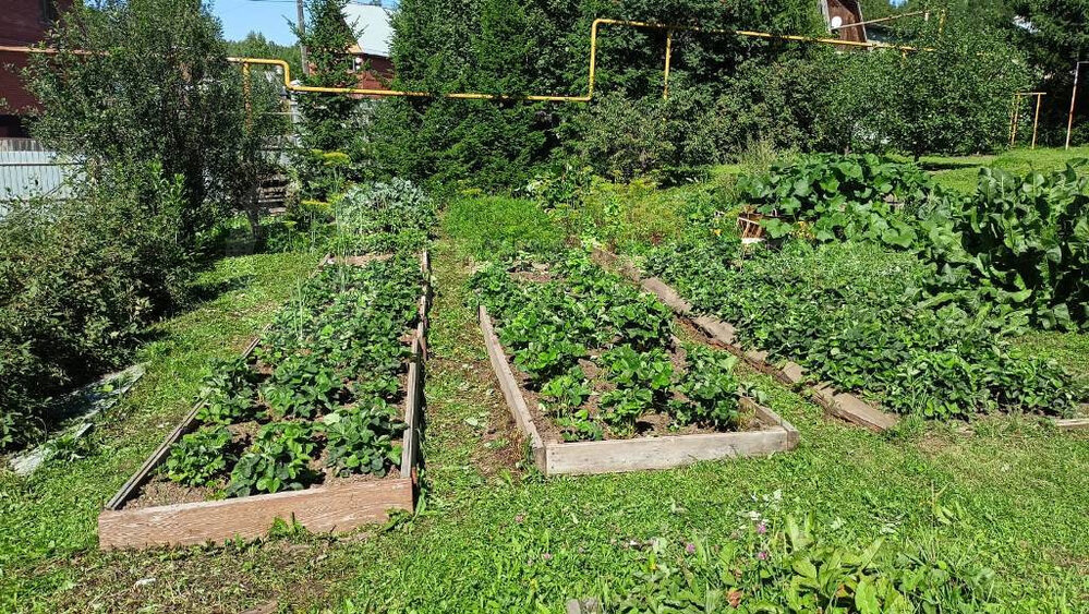 г. Первоуральск, ул. 1-я Пильная, 52 (городской округ Первоуральск) - фото земельного участка (2)