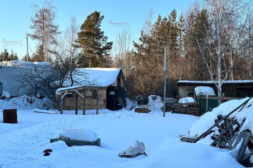 п. Кедровка, Коллективный сад №23 (городской округ Березовский) - фото сада (2)