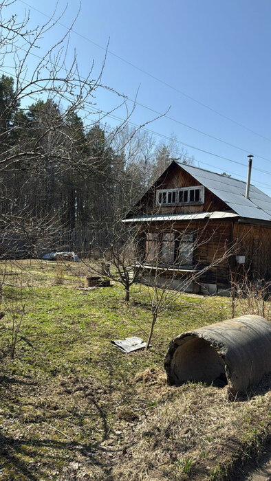 Екатеринбург, СНТ Ново-Свердловский (Технопарк) - фото сада (1)