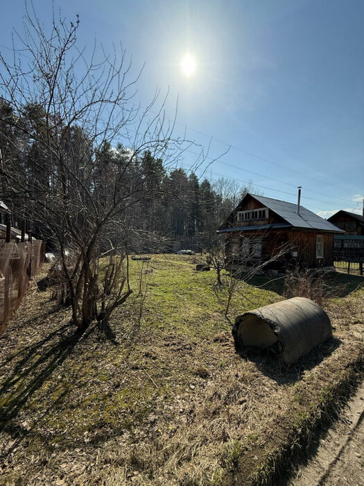 Екатеринбург, СНТ Ново-Свердловский (Технопарк) - фото сада (2)