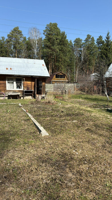 Екатеринбург, СНТ Ново-Свердловский (Технопарк) - фото сада (3)
