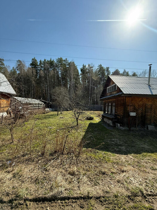 Екатеринбург, СНТ Ново-Свердловский (Технопарк) - фото сада (4)