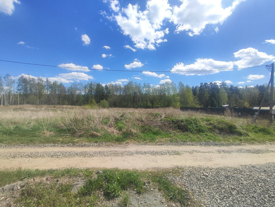 с. Курганово, ул. Елизаветинская (городской округ Полевской) - фото земельного участка (1)