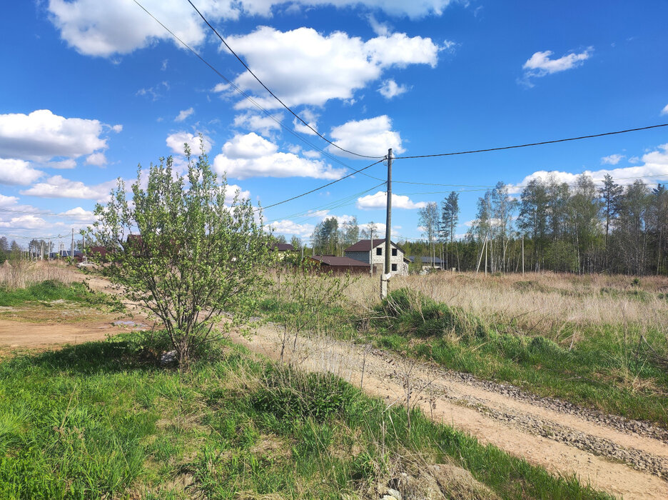 с. Курганово, ул. Елизаветинская (городской округ Полевской) - фото земельного участка (3)