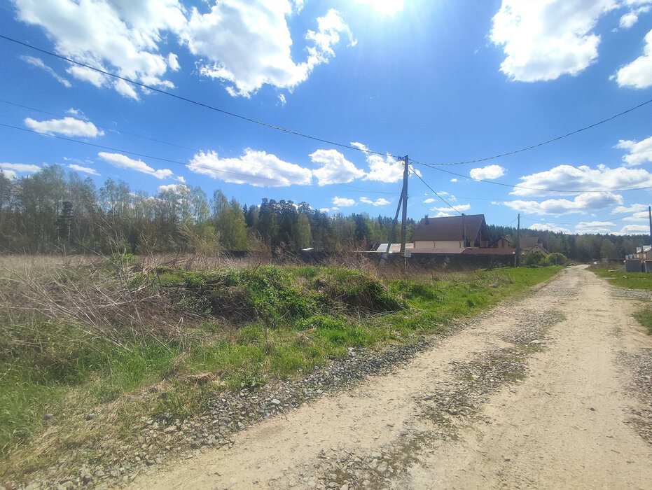 с. Курганово, ул. Елизаветинская (городской округ Полевской) - фото земельного участка (4)