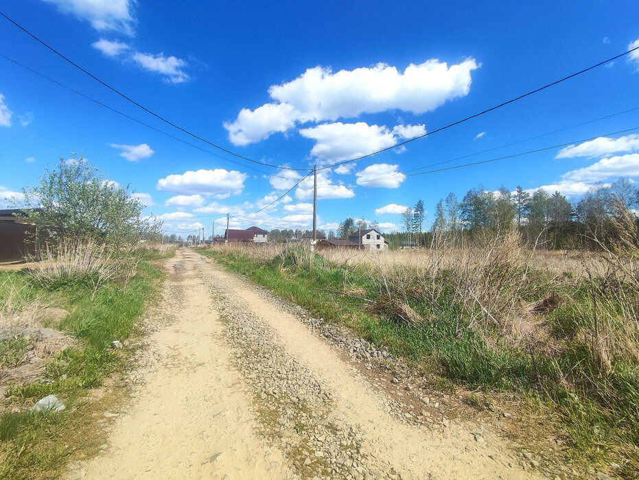 с. Курганово, ул. Елизаветинская (городской округ Полевской) - фото земельного участка (5)