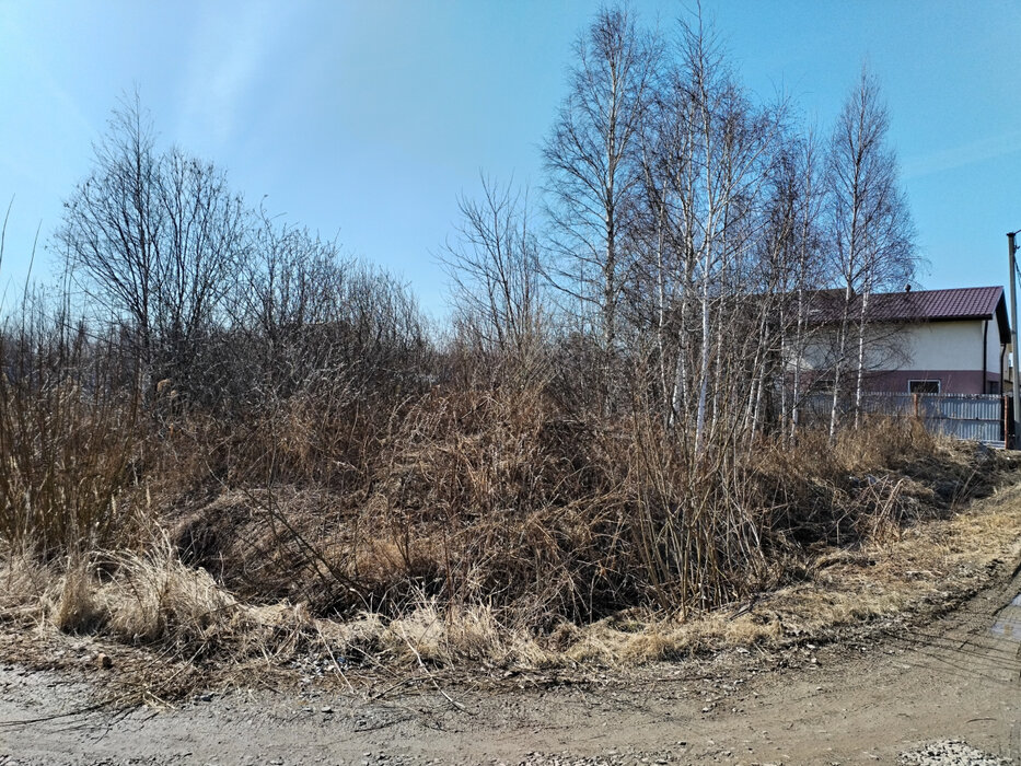 к.п. Новое созвездие, ул. Сибирский тракт (дублёр), 105А (Октябрьский район) - фото земельного участка (3)