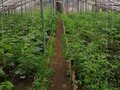 Продажа бизнеса: Екатеринбург, ул. Полюсная - Фото 4