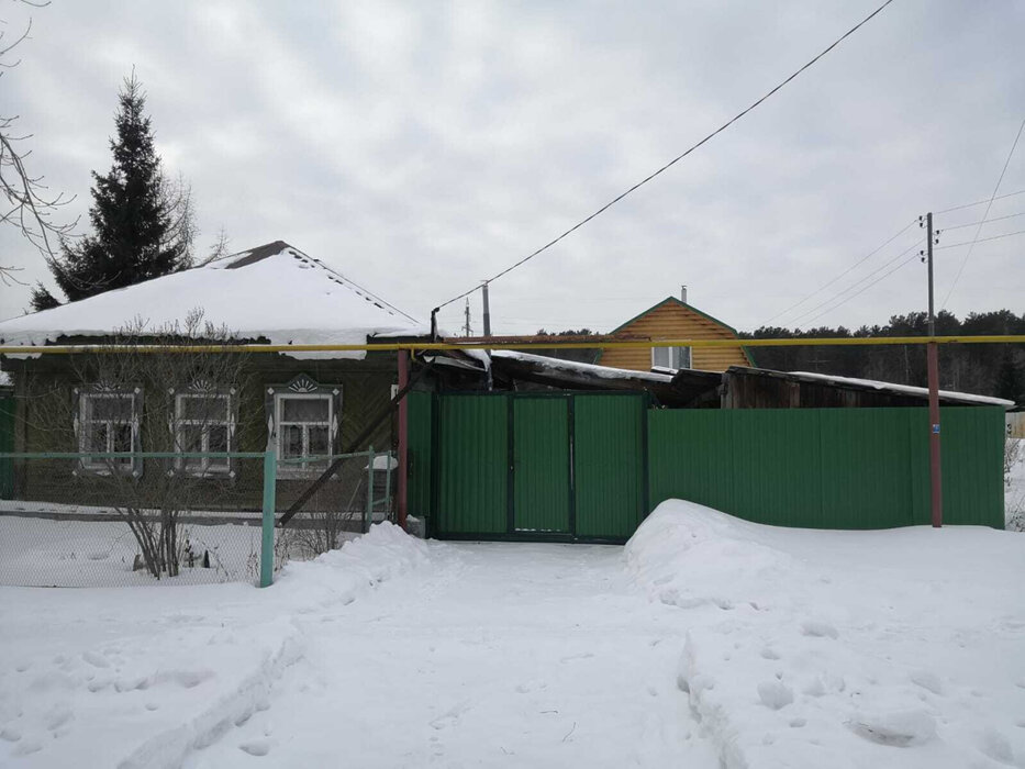 п. Двуреченск, ул. Димитрова, 19 (городской округ Сысертский) - фото дома (3)
