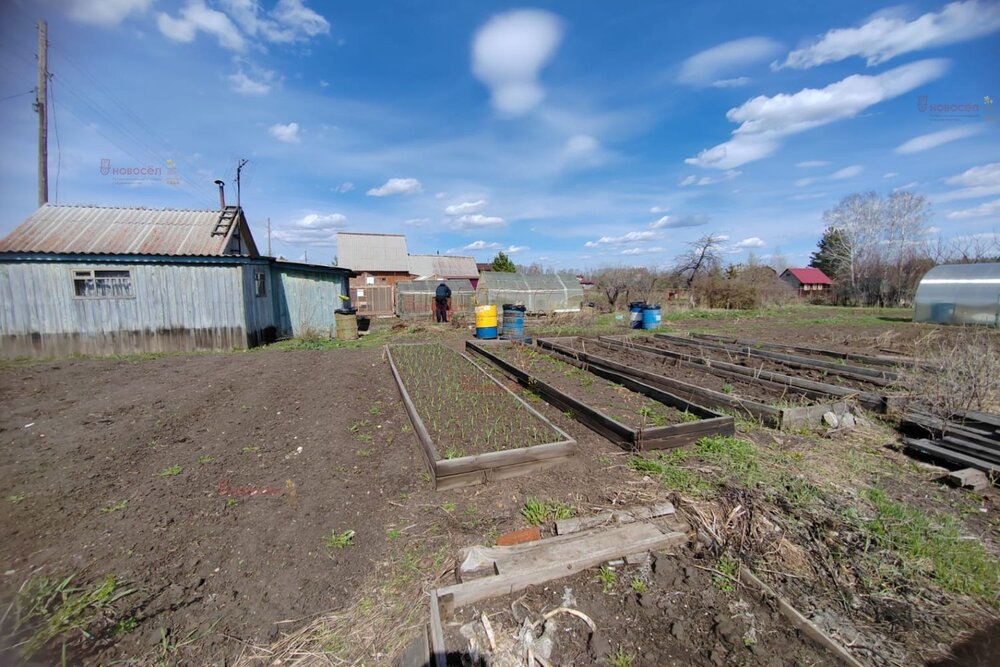 п. Совхозный, к/с Электровозник (городской округ Белоярский) - фото сада (4)