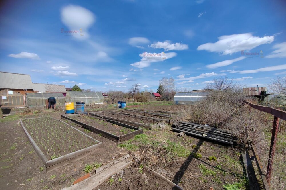 п. Совхозный, к/с Электровозник (городской округ Белоярский) - фото сада (5)