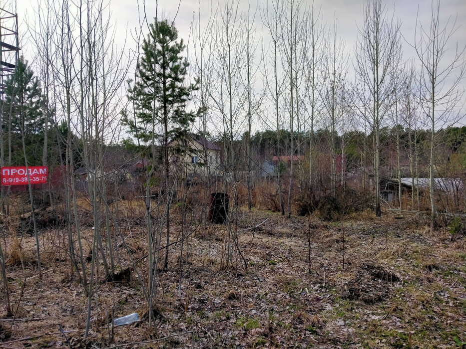 Екатеринбург, Снт Виктория, ул. Вишневая, 14 (Широкая речка) - фото сада (2)