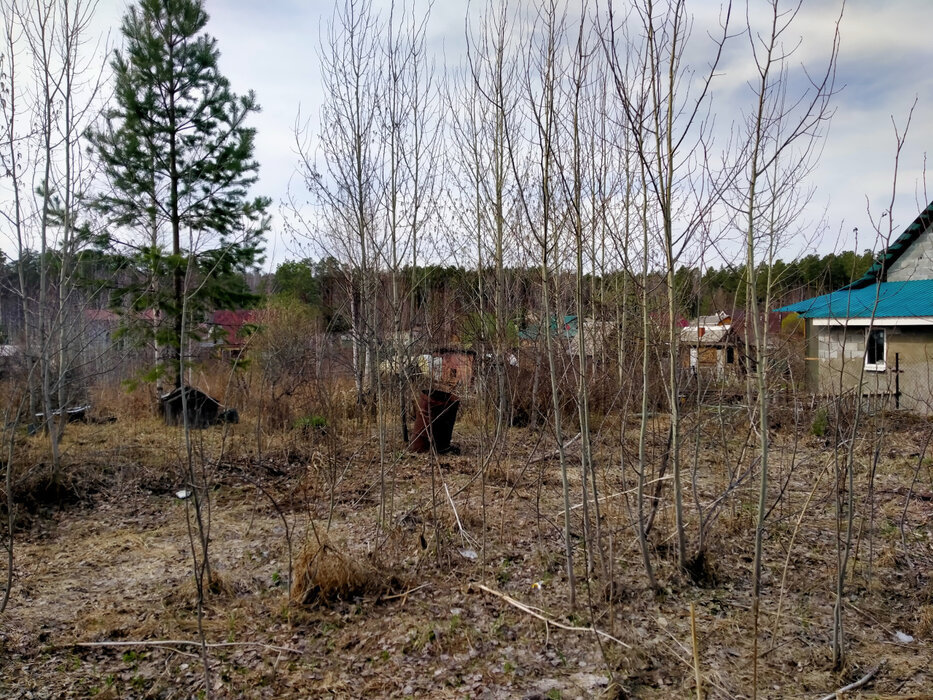 Екатеринбург, Снт Виктория, ул. Вишневая, 14 (Широкая речка) - фото сада (6)