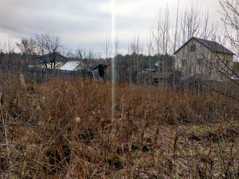 Екатеринбург, Снт Виктория, ул. Вишневая, 14 (Широкая речка) - фото сада (7)