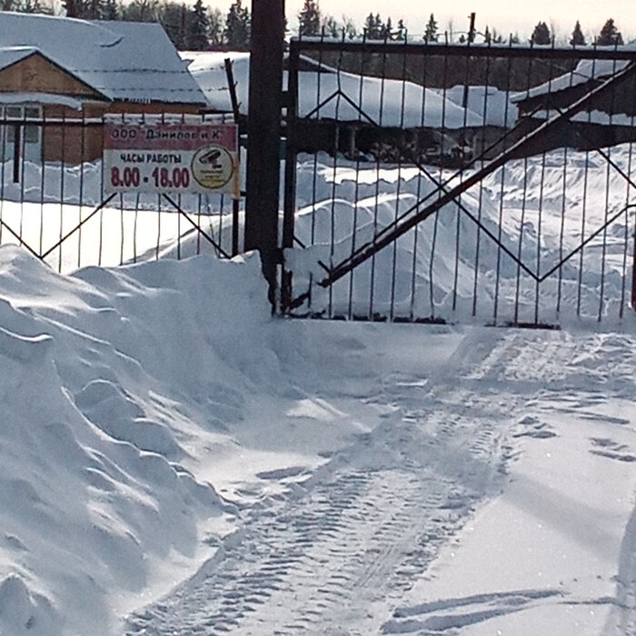 п. Бизь, ул. 8 Марта, 2 (городской округ Шалинский) - фото готового бизнеса (2)