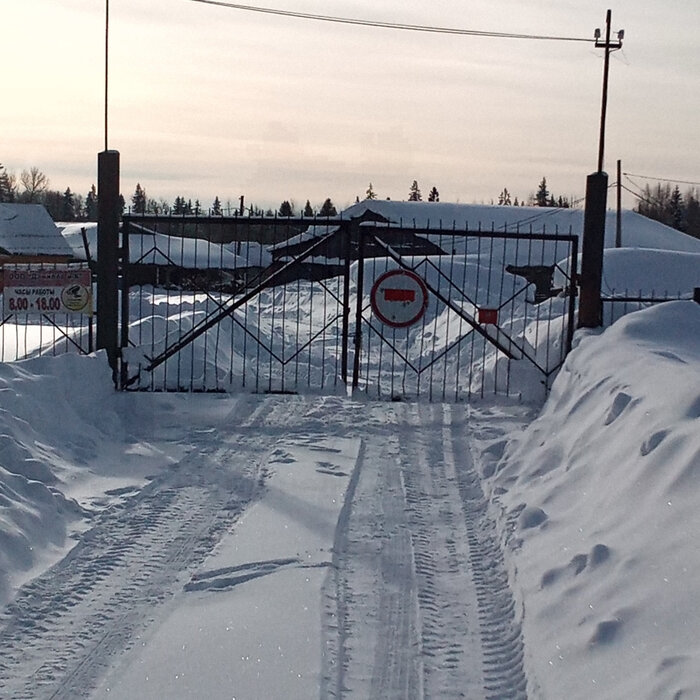 п. Бизь, ул. 8 Марта, 2 (городской округ Шалинский) - фото готового бизнеса (3)