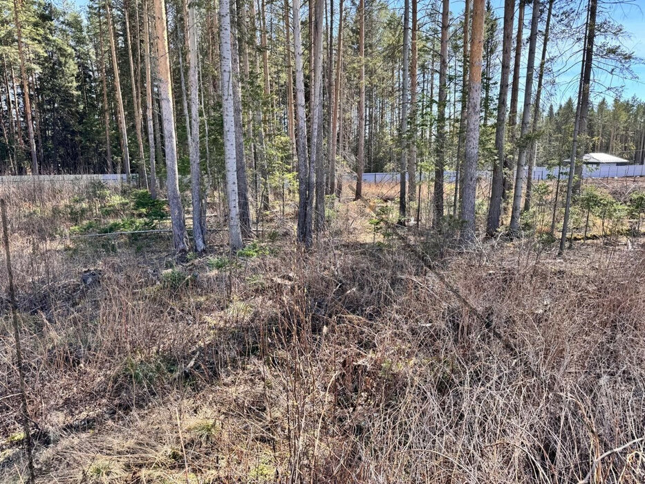 г. Ревда, ул. Рябиновая, 41 (городской округ Ревда) - фото земельного участка (2)