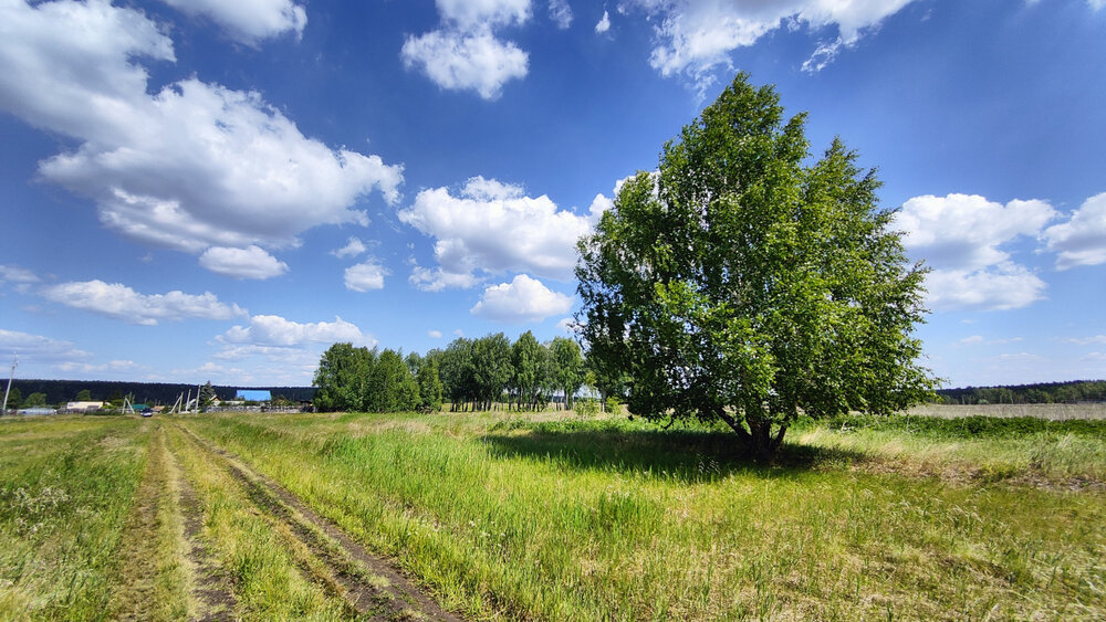c. Смолинское, ул. Ленина (городской округ Город Каменск-Уральский) - фото земельного участка (1)