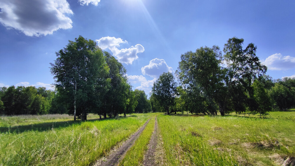 c. Смолинское, ул. Ленина (городской округ Город Каменск-Уральский) - фото земельного участка (2)