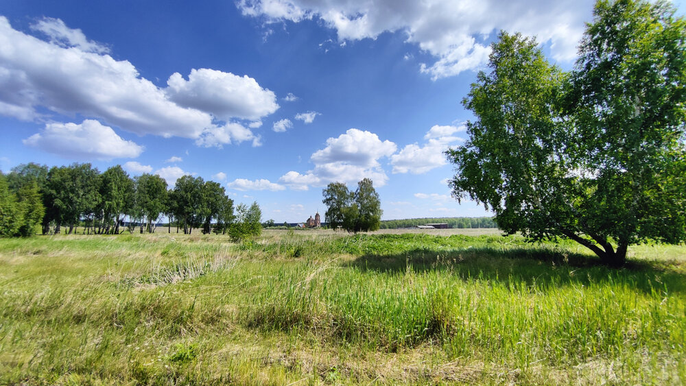 c. Смолинское, ул. Ленина (городской округ Город Каменск-Уральский) - фото земельного участка (3)