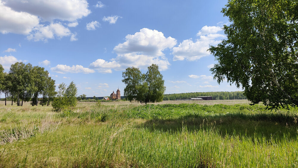 c. Смолинское, ул. Ленина (городской округ Город Каменск-Уральский) - фото земельного участка (4)