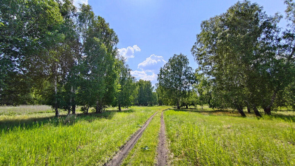 c. Смолинское, ул. Ленина (городской округ Город Каменск-Уральский) - фото земельного участка (5)