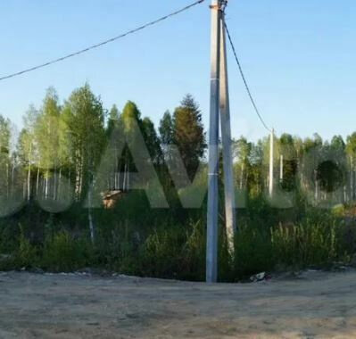 п. Становая, ул. ПСК Шиловский (городской округ Березовский) - фото земельного участка (2)
