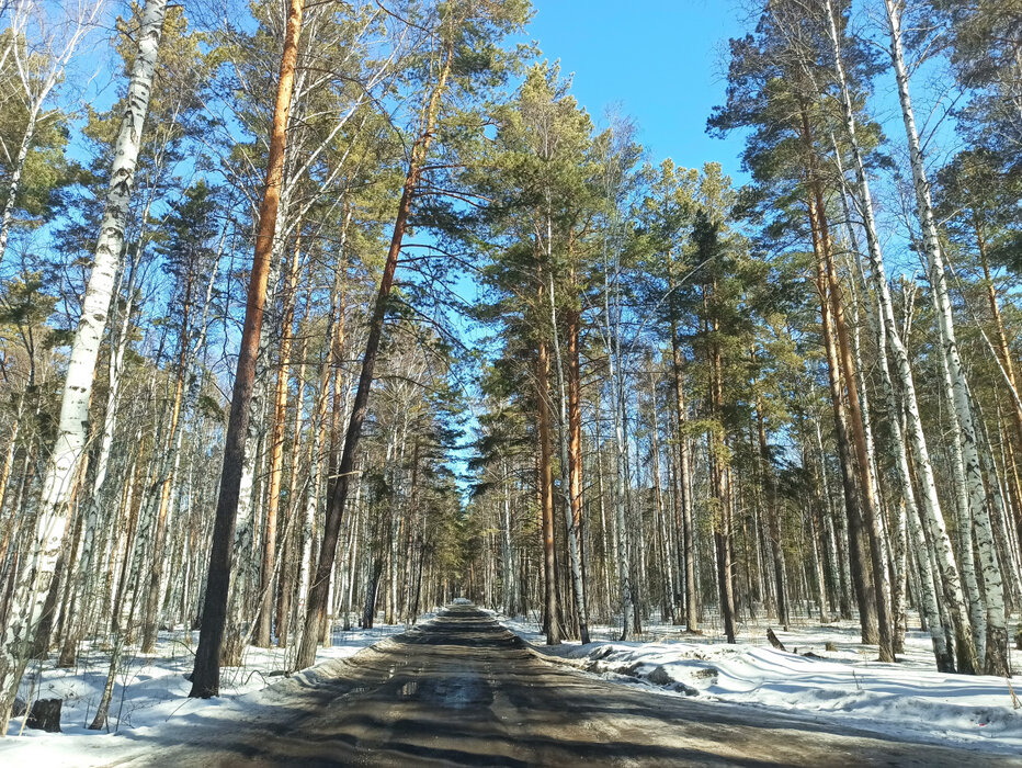 Екатеринбург, СПК 